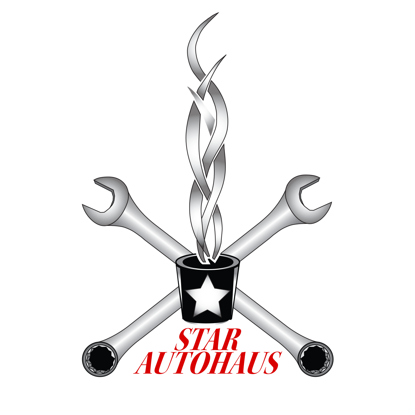 Star Autohaus Logo for Auto Repair Shop in Los Angeles.jpg